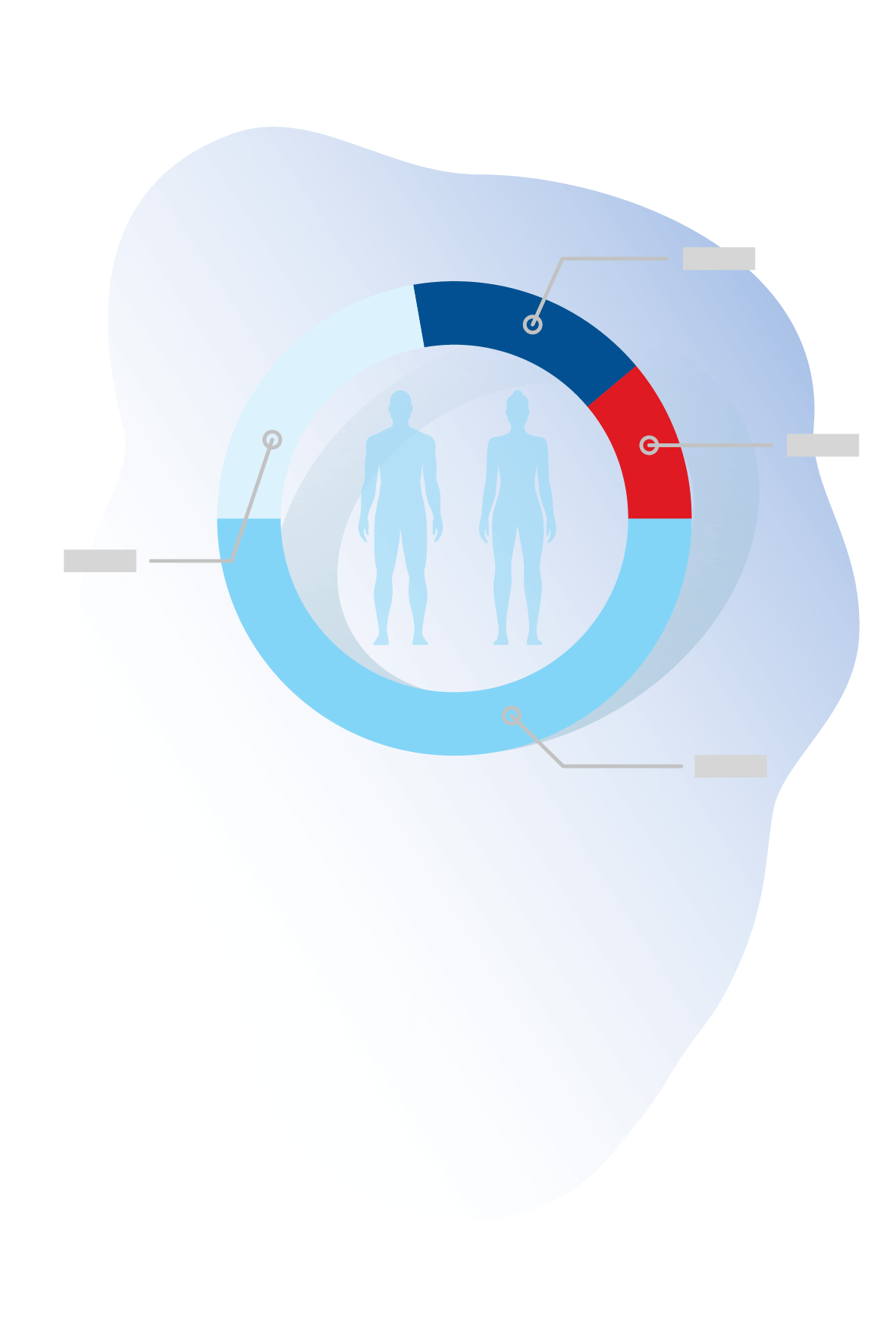 Body Composition Test